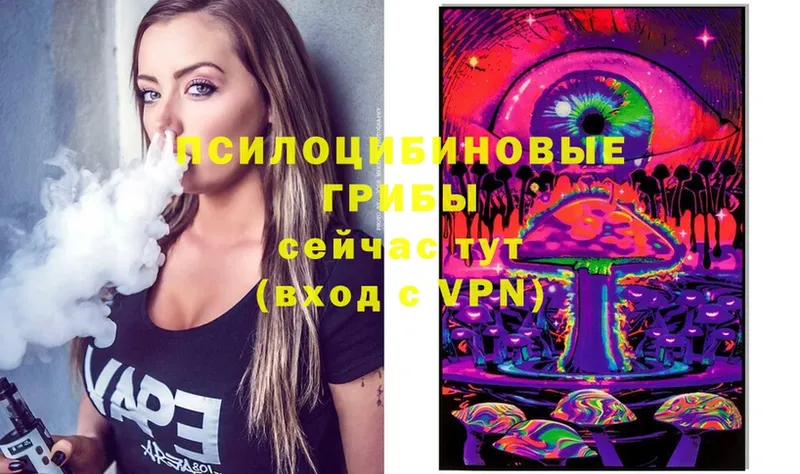 Псилоцибиновые грибы Psilocybe  Карпинск 